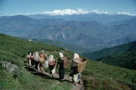 "Plodné" himálajské svahy.