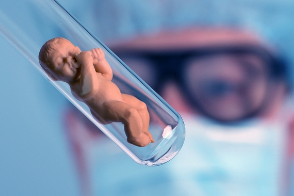 Internetem i tištěnými médii se šíří fáma o geneticky modifikovaných dětech.