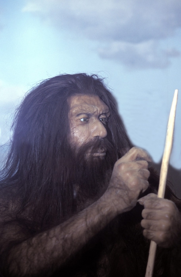 Neandertálci znali účinky léčivých rostlin, zjistili vědci (ilustrační foto).