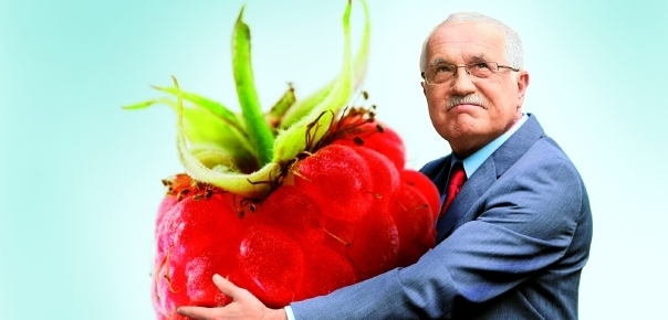 Klausova milost pro podnikatele Malinu vyvolala řadu otázek.