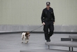 Akce provázejí přísná bezpečnostní opatření. (Foto: ČTK/AP) Akce provázejí přísná bezpečnostní opatření. (Foto: ČTK/AP)