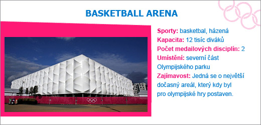 BASKETBALL ARENA