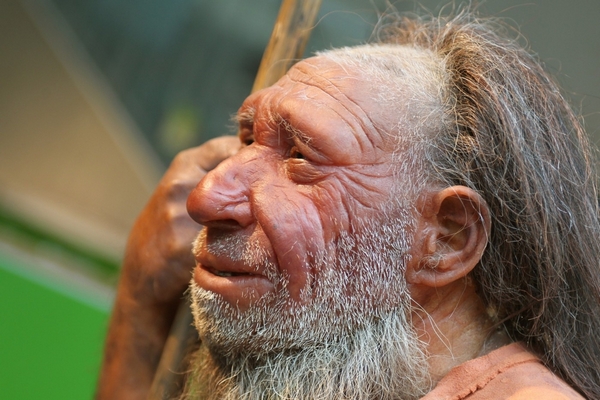 Neandertálci doplatili na příchod našich předků.