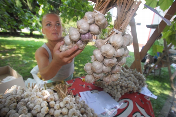 V Buchlovicích se koná 11. ročník festivalu, který propaguje česnek.
