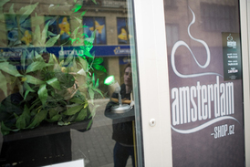 Amsterdam shop v Brně.
