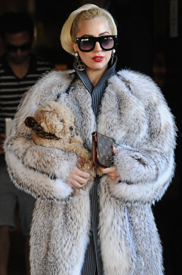 Dříve byla Lady Gaga platinová blondýna.