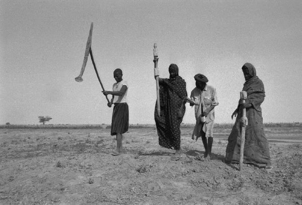 Otroci v Mauritanii pracují na poli. 