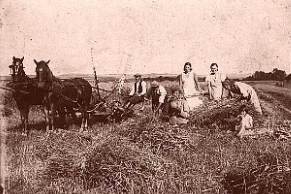 Ilustrační foto.
