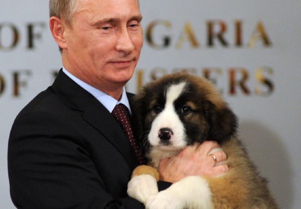 Putinův psinec se rozrůstá. Na snímku s bulharským ovčákem z Bulharska.