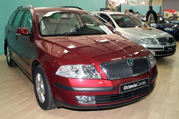 Nejprodávanějším modelem byla Škoda Octavia se 17 748 prodanými vozy.