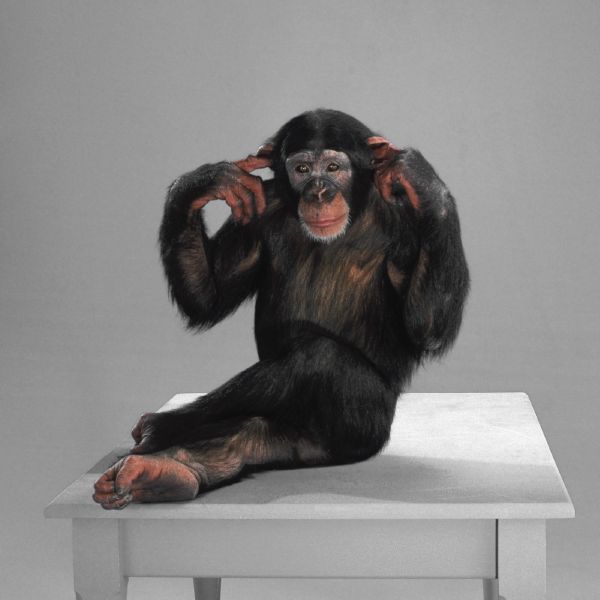Rozsáhlou výukovou expozici zaměřenou na vliv člověka na přírodu chce v příštích dvou letech s pomocí dotace EU vybudovat plzeňská zoo.