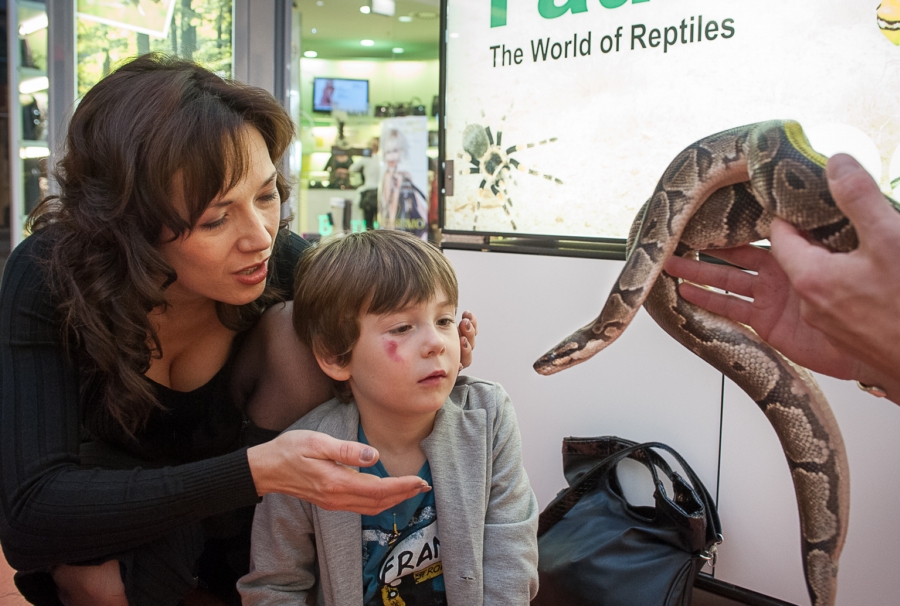 Syn Terezy Kostkové se hadů nebojí.