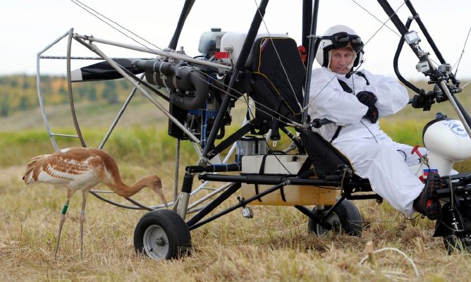 Vladimir Putin jako vůdce hejna jeřábů.