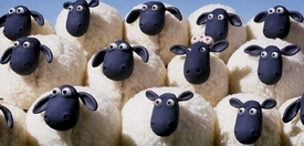 Britské ovečky Shaun.