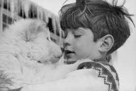 John F. Kennedy junior se samojedem v Bílém domě. 