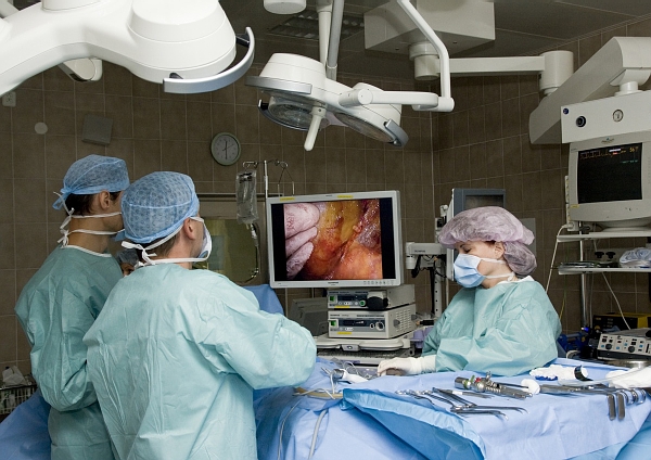 Jednotlivé transplantace ledviny dnes patří k nejrozšířenějším a také nejúspěšnějším operacím svého druhu.