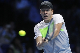 Berdych věří v podporu českých fanoušků.