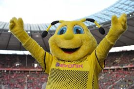 Emma, maskot Borussie Dortmund.