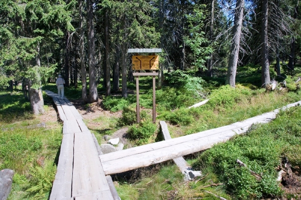 Víc než polovinu zakázek lesnických prací pro Lesy ČR získala firma Less & Forest. Víc než polovinu zakázek lesnických prací pro Lesy ČR získala firma Less & Forest.