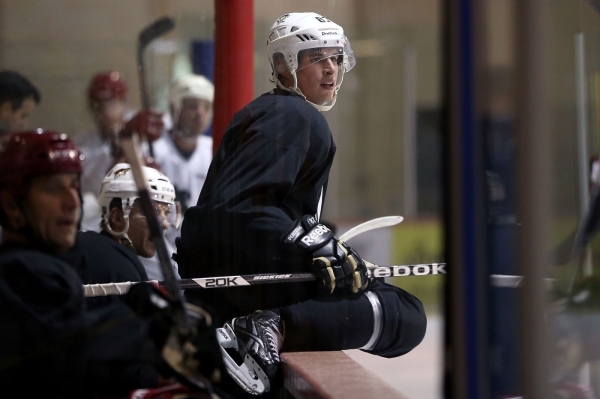 Jednání se účastnil i hvězdný útočník Sidney Crosby. Jednání se účastnil i hvězdný útočník Sidney Crosby.
