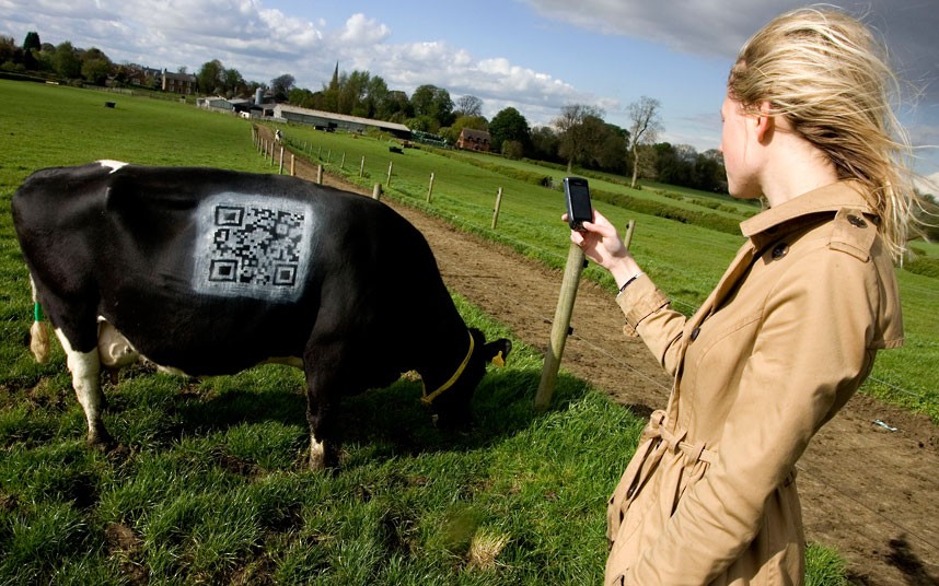 QR kódy jsou stále častěji součástí marketingové komunikace.