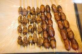 Další možné pokrmy.