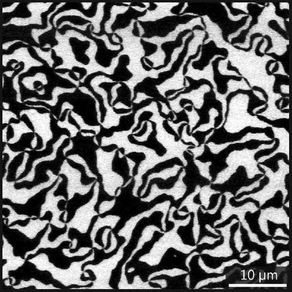Oblasti s odlišně orientovaným elektrickým nábojem v krystalu směsného oxidu (Swiss National Supercomputing Centre) 