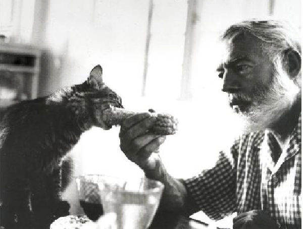 Hemingway a jeho miláčci.