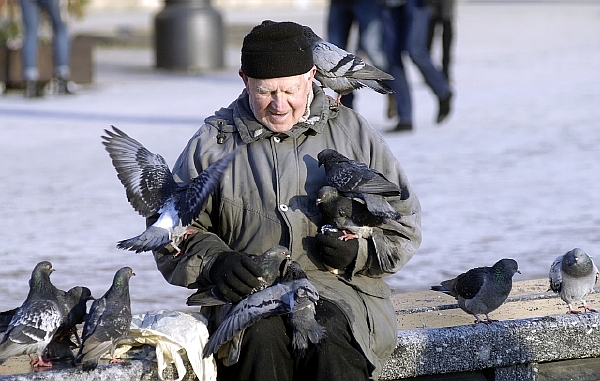 Na Slovensku činil průměrný starobní důchod 375,89 eura (nyní asi 9622 korun). V Česku dosahoval podle ČSSZ 10 765 korun (ilustrační foto). Na Slovensku činil průměrný starobní důchod 375,89 eura (nyní asi 9622 korun). V Česku dosahoval podle ČSSZ 10 765 korun (ilustrační foto).