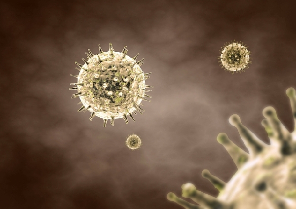 Virus prasečí chřipky H1N1 je rizikový pro starší jedince, kardiaky či kuřáky.
