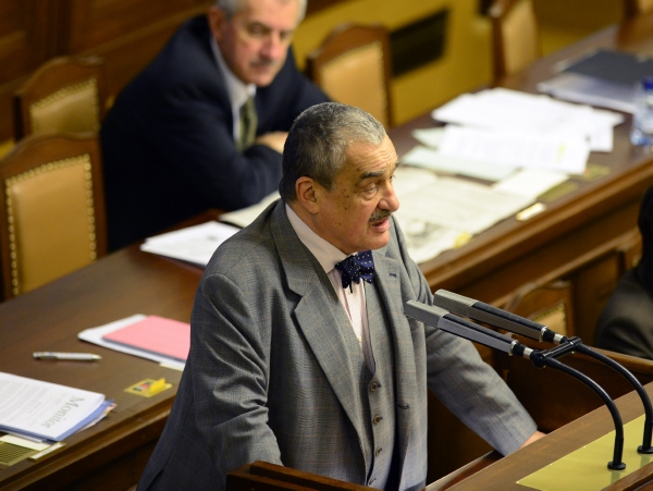 Karel Schwarzenberg nesouhlasí se způsobem provedení amnestie.