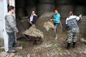 Farmář hledá ženu.