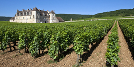 Zámek Vougeot v oblasti Côte d'Or.