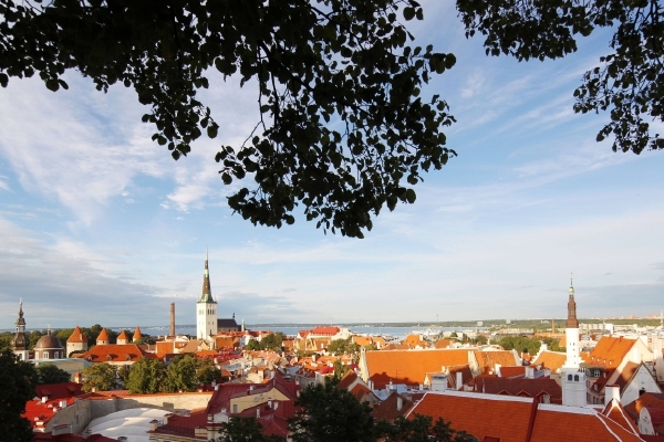 Hlavní město Estonska zavedlo městskou dopravu zdarma. Hlavní město Estonska zavedlo městskou dopravu zdarma.