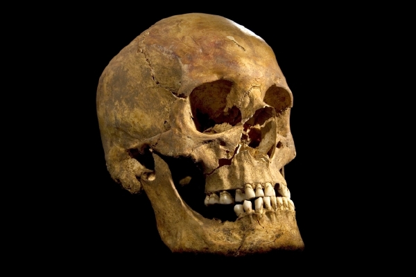 Lebka Shakespearova monarchy, Richarda III.