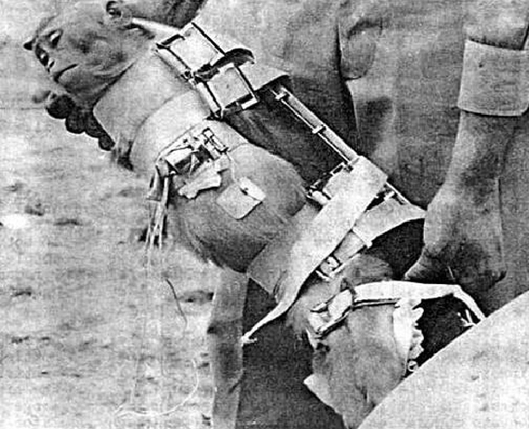 První ze série amerických "oponautů" Albertů. Let do kosmu nepřežil. První ze série amerických "oponautů" Albertů. Let do kosmu nepřežil.