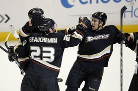 Anaheim Dukcs zvítězili nad San Jose Sharks 2:1.