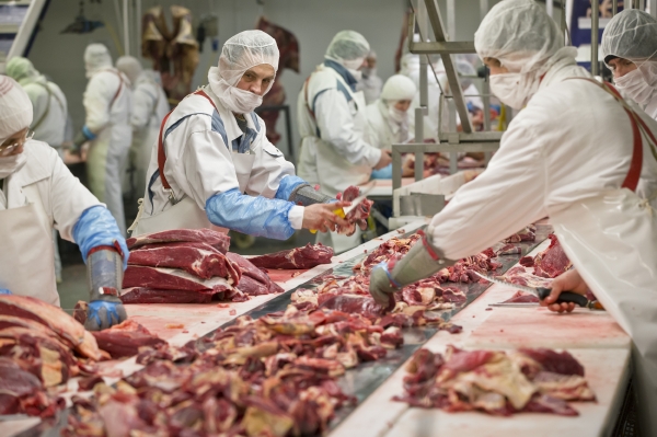 Rumunská masna, kterou rumunská vláda kontrolovala kvůli skandálu s koňským masem. Rumunská masna, kterou rumunská vláda kontrolovala kvůli skandálu s koňským masem.