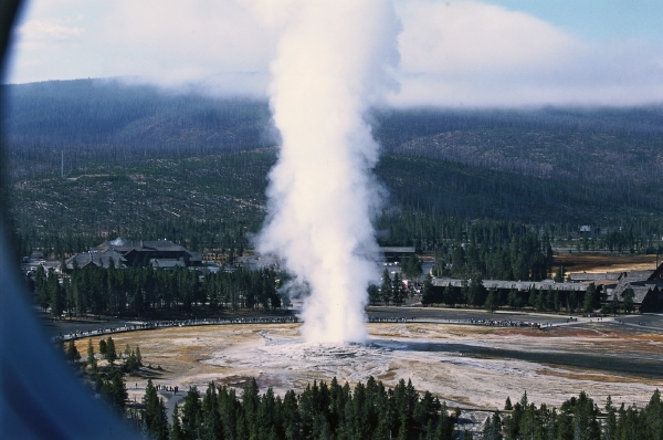 Gejzír Old Faithful v  Yellowstonském národního parku, odkud pochází zkoumaná archebakterie.