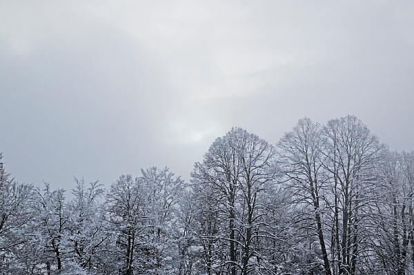 Oblačnou oblohu hlásí meteorologové až do konce února, postupně se bude přidávat sněžení, smíšené srážky a déšť (ilustrační foto). Oblačnou oblohu hlásí meteorologové až do konce února, postupně se bude přidávat sněžení, smíšené srážky a déšť (ilustrační foto).