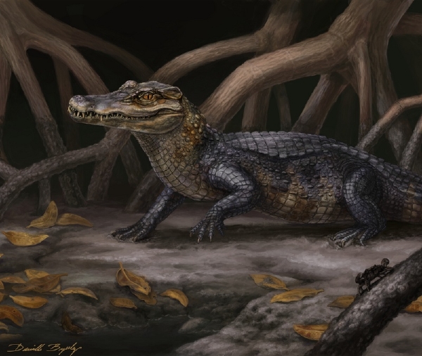 Rekonstrukce pravěkého kajmana Culebrasuchus mesoamericanus.
