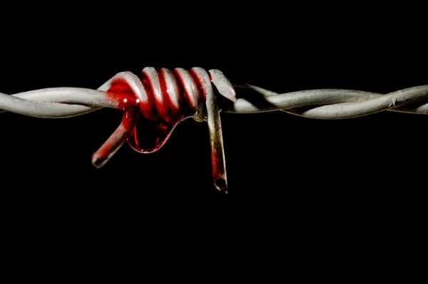 Jeden ze symbolů Amnesty International.