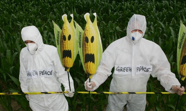 Značná část Evropanů odmítá biotechnologie pod vlivem kampaní zelených organizací a zastánců biopotravin (ilustrační foto).