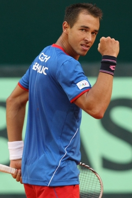 Lukáš Rosol se v neděli postaral o postupový třetí bod českého týmu.