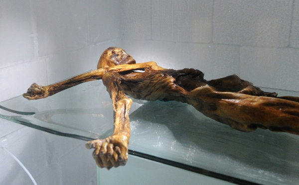 Ledový muž Ötzi.