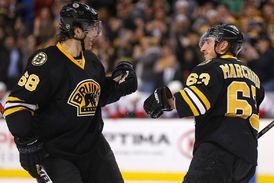 Spoluhráči v týmu Bruins Jágra obdivují. Hrát s ním je pro ně zážitek.