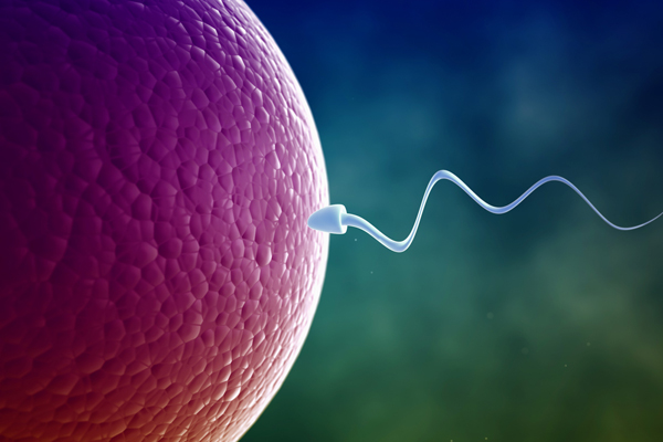 Lékaři radí: nechte si vyšetřit sperma.