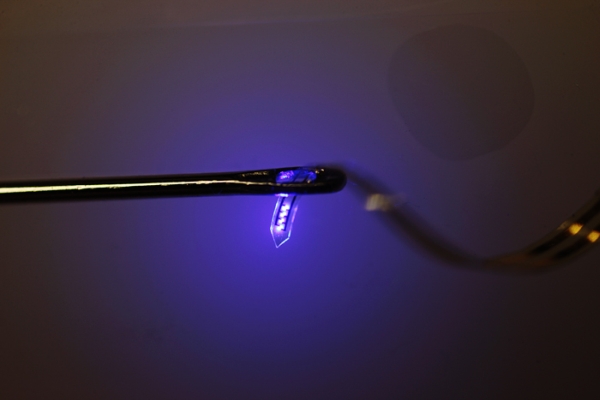 Páska se špičkovou elektronikou určenou k implantaci myšího mozku. Projde uchem jehly.