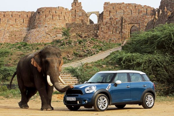 Mini Countryman a indický slon, spojení blízké budoucnosti. Mini Countryman a indický slon, spojení blízké budoucnosti.