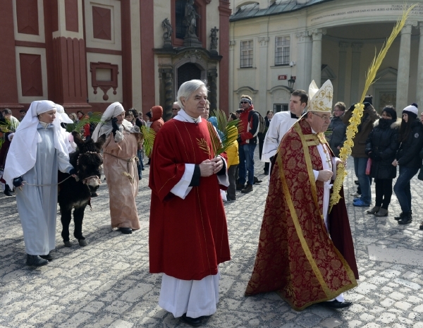 Církve žádaly hlavně o pozemky, ale také o stavby a lesy (ilustrační foto).